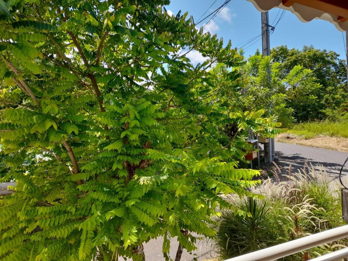 Paradyse Den'S Pres Sources D'Eau Chaudes , Paisible , Vue Sur Mer , Wifi Bouillante Exterior photo